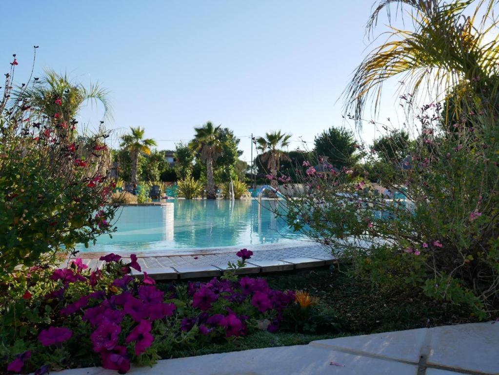 Mobil Home Familial Neuf De 2024 Pour 8 Personnes Valras-Plage Dış mekan fotoğraf